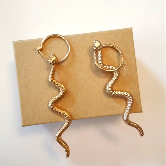 Earrings - Picture 1 of 2